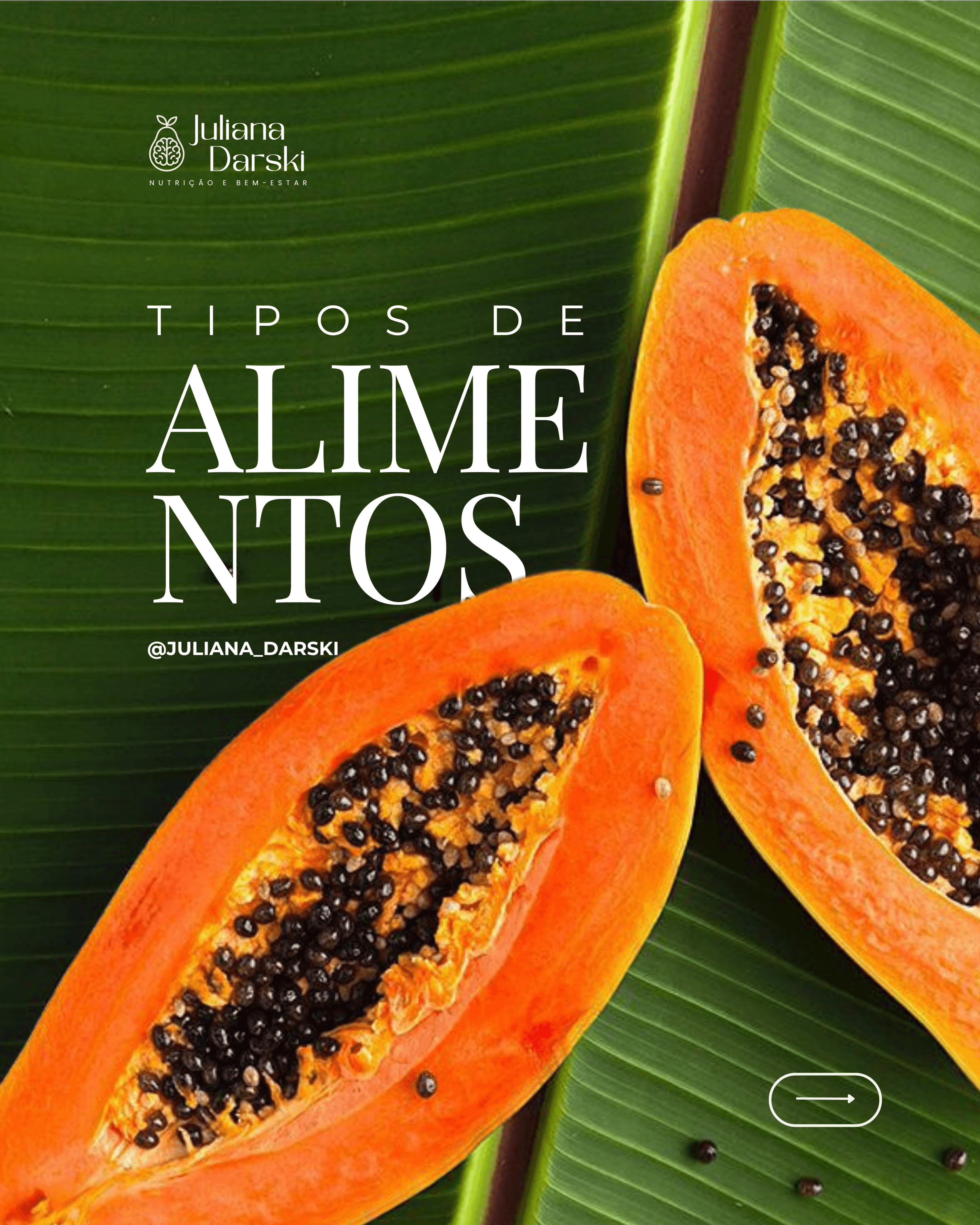 Tipos de alimento - JulianaDarski